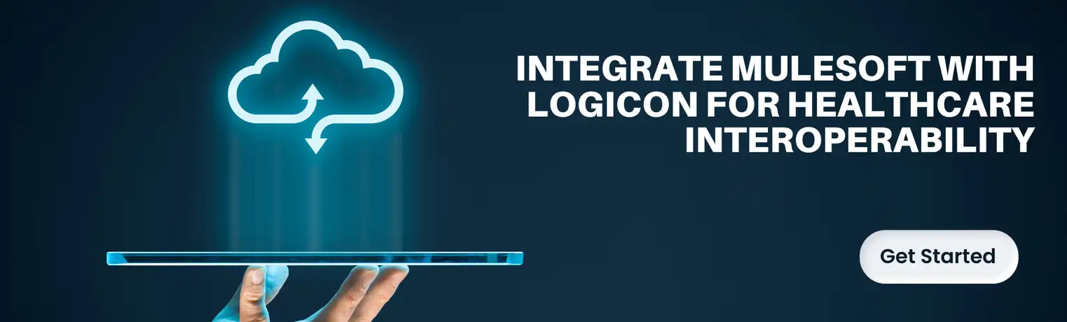mulesoft integration partner